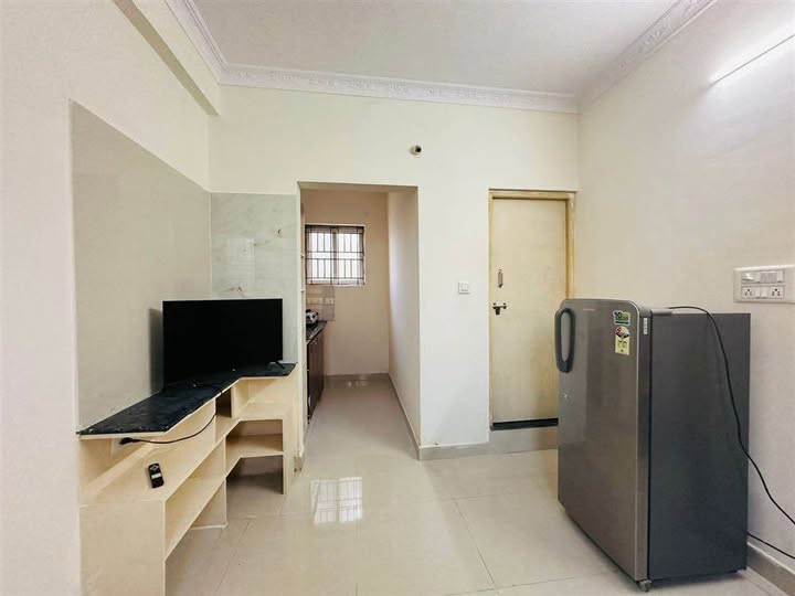 1 BHK · Electronic City